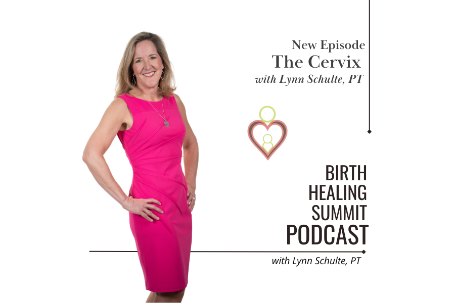 Lynn Schulte | The Cervix