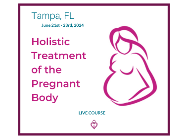 Tampa, FL Live Pregnant Body June 2024