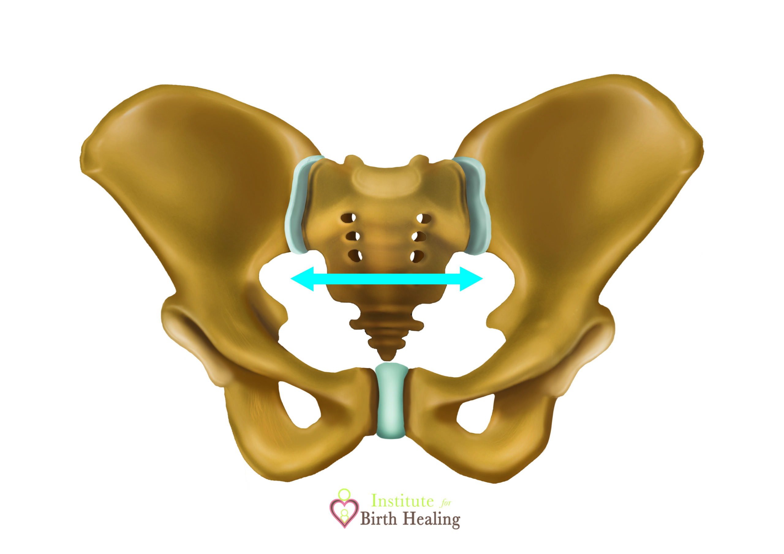 All the Effects of Birth on the Pelvis - Institute for Birth Healing Courses