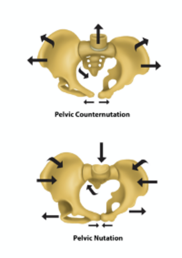 Open Birthing Patterns in the Pelvis